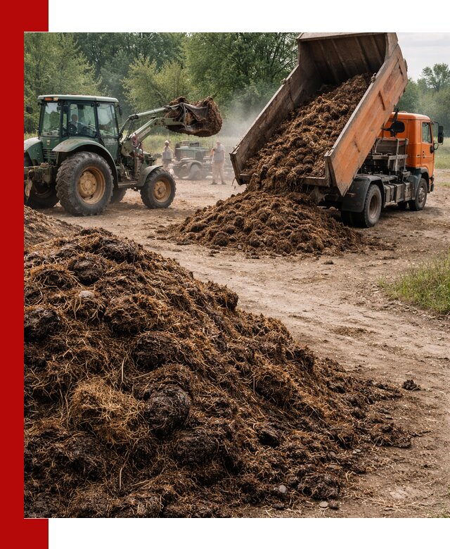 Доставка навоза самосвалами в Нурлате для сельхозпотребностей