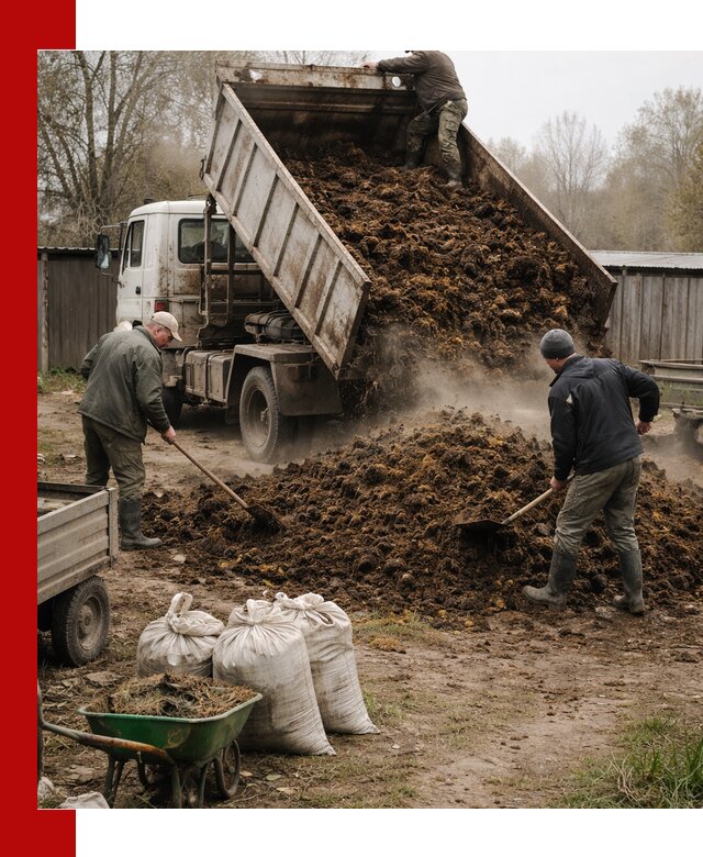 Доставка коровьего навоза самосвалом в Нурлате